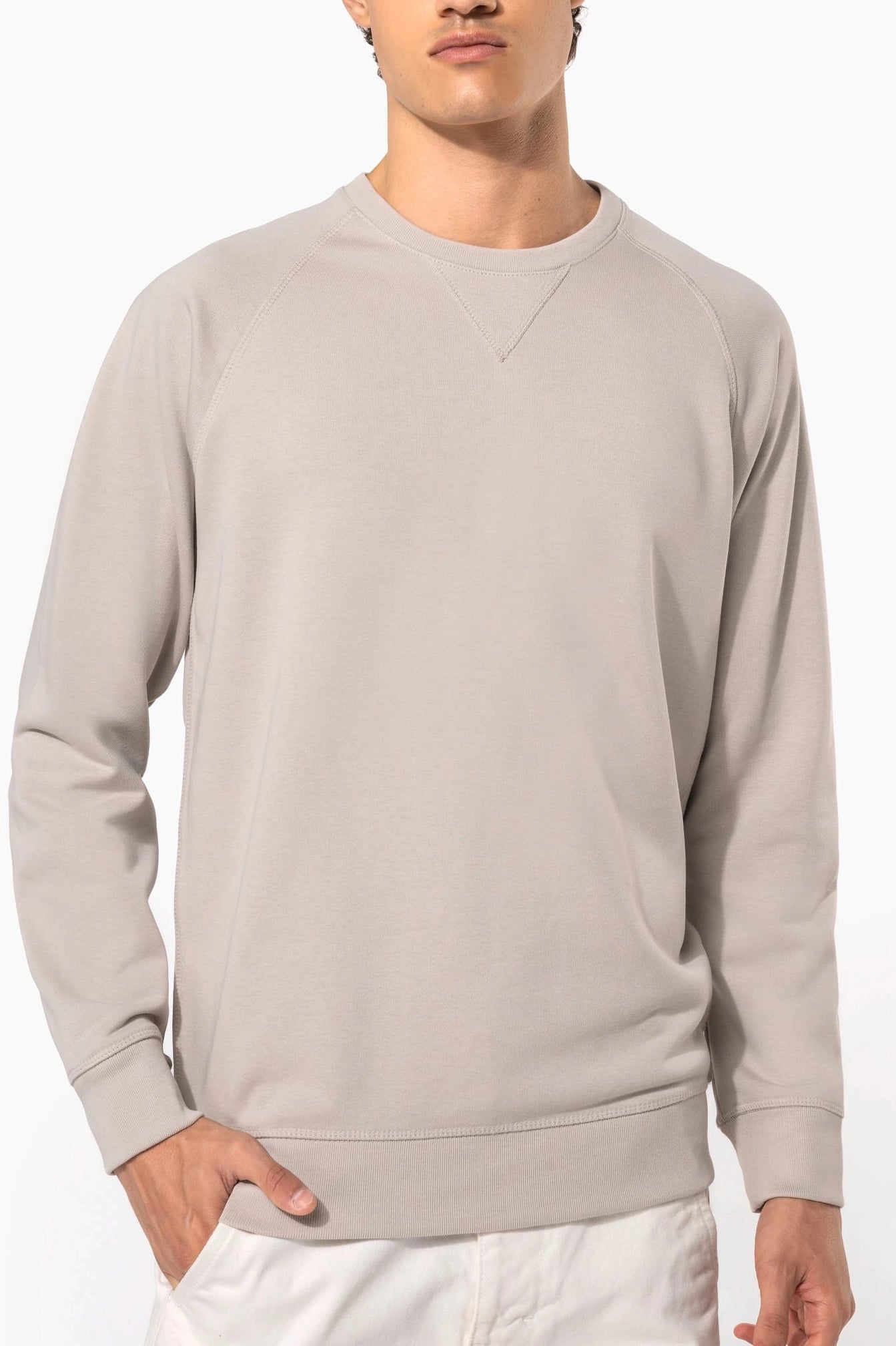 Men's Organic Raglan Sweatshirt